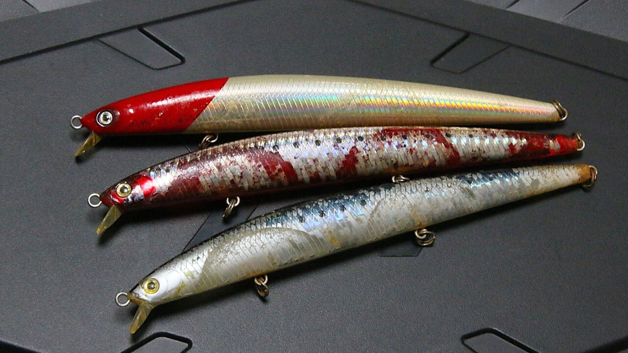 ショアラインシャイナーSLが復刻。「サクサス加工」で進化した海サクラ